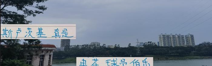 五外援时代刘诚宇都能捞出来 薛庆浩练成了国门 申花教练太帅了