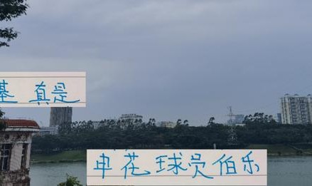 五外援时代刘诚宇都能捞出来 薛庆浩练成了国门 申花教练太帅了