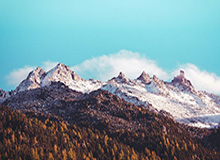 网页版登录入口：开启高效、安全的一站式入口